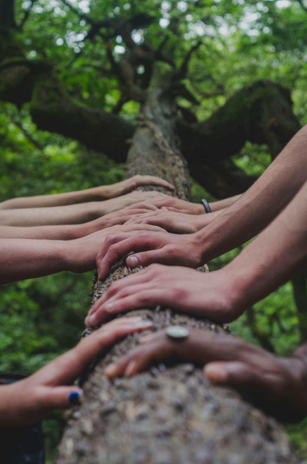 Community Hands